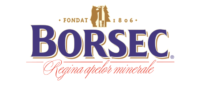 Logo Borsec